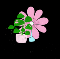 tinyflowerclub  GIF