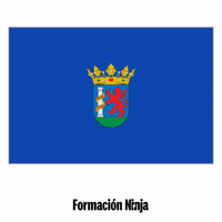 Flag Spain GIF by Formación Ninja