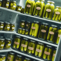 Plant-Based Vegan GIF by Caavakushi
