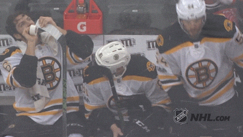 boston bruins hockey GIF by NHL