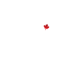 AK-Media エーケーイングリッシュ エーケーメディア ak-media akmedia Sticker