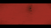 Logo GIF by LevelInfinite