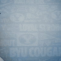 Brigham Young Byu Baseball GIF by BYU Cougars