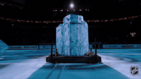 Happy National Hockey League GIF by NHL