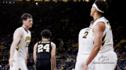 GIF by University of Iowa Hawkeyes Athletics
