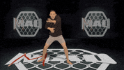 Battersea Dancing GIF by MMADen