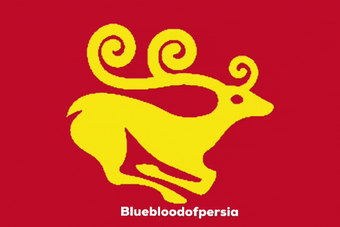 Bluebloodofpersia GIF
