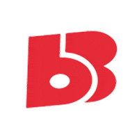 Bb Sticker by Big Bom