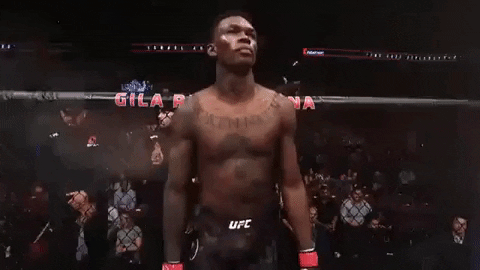 ufc 234 sport GIF by UFC