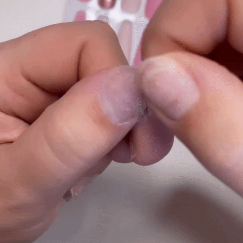 HOLLYLASH giphygifmaker GIF