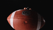 Canadian Vancouver GIF by BC Lions