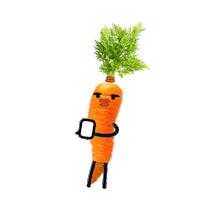 KlarsteinSlovensko fruit kitchen avocado carrot Sticker