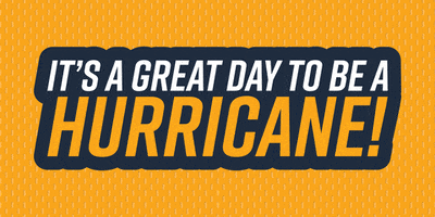 Hurricanes Canes GIF by Georgia Southwestern State University