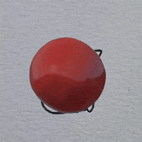 Cat GIF