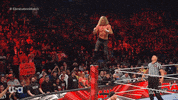 Wwe Wrestling GIF by USA Network
