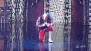 Wwe Wrestling GIF by USA Network