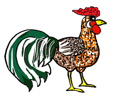 Chicken Gallo Sticker