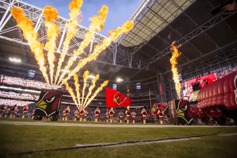 National Football League Nfl GIF by Arizona Cardinals