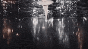 nycballet ballet diamonds ballerina jewels GIF