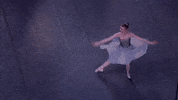 Dance GIF by New York City Ballet