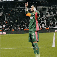 Goalkeeper Galatasaray GIF