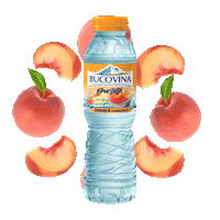 apabucovina bucovina bucovinafructata apabucovina peachbucovina Sticker