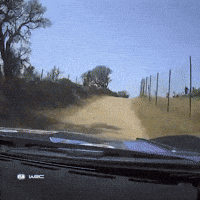 Fail Car Crash GIF by FIA World Rally Championship