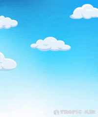 Airline GIF by Tropic Air Belize