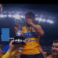 Liga Mx Damian GIF