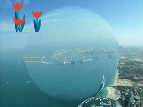 Germany Wow GIF by FranchiseCHECK.de