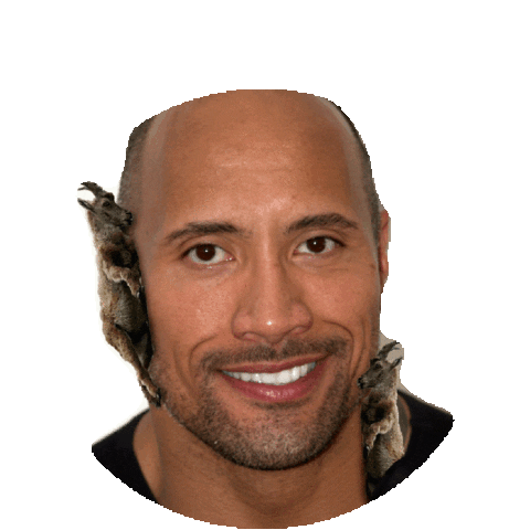 the rock STICKER by imoji