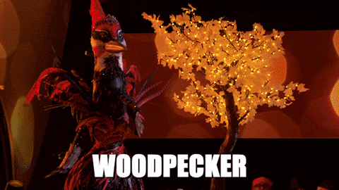 Themaskedsinger GIF by Reality Club FOX