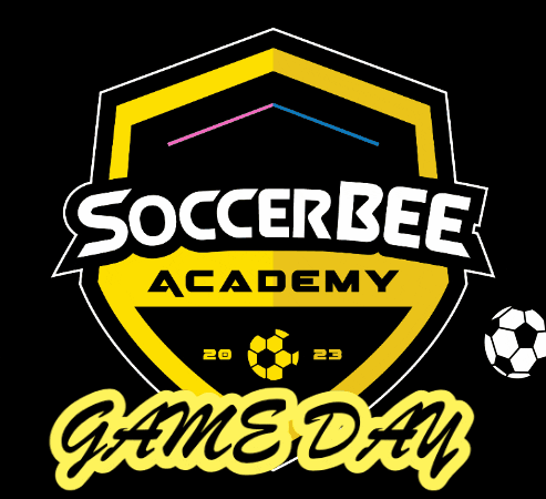 GIF by SoccerBEE