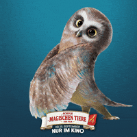 Kino Muriel GIF by Die Schule der magischen Tiere - Der Film