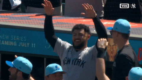 The Martian Baseball GIF by YES Network