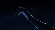 Reach Out Destiny 2 GIF by Xbox