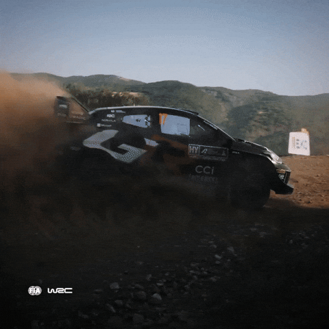 Sport Driving GIF by FIA World Rally Championship