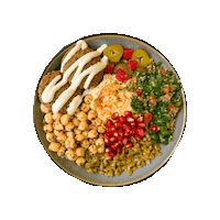 aardi vegan vegetarian hummus lebanesefood Sticker