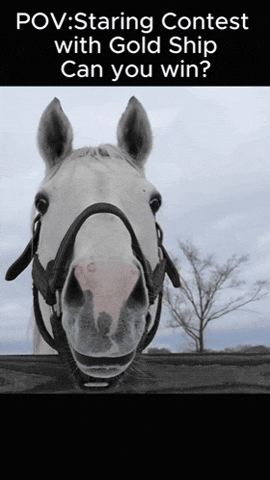 Real Life Horse GIF