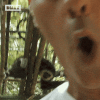 que me dices wow GIF by DMAX