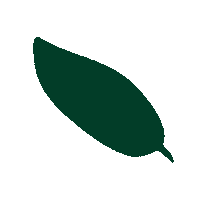apolondon green leaf shape apo Sticker