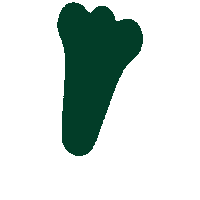 apolondon green leaf shape nose Sticker