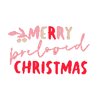 Merry Christmas Sticker by Salvos Stores