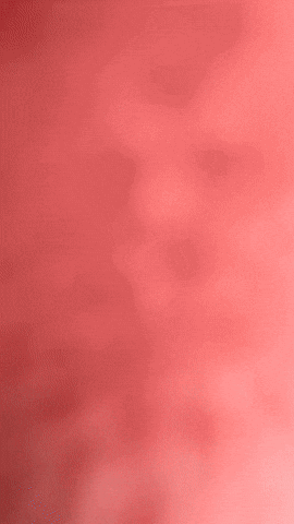 Spongebob Patrick GIF by Youtooz