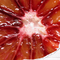 Gibsonsgin cocktail gin tonic gintonic GIF