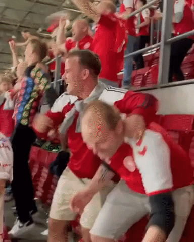 Fans Go Wild as Denmark Beats Russia and Advances at Euros