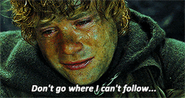 the lord of the rings the fellowship of the ring GIF