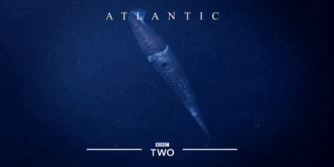 bbc two atlantic GIF by BBC