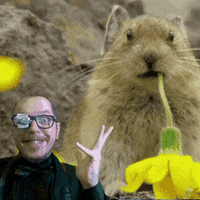 Art Zachar GIF by NACHTSCHIMMEN Music-Theatre-Language NIGHTSHADES