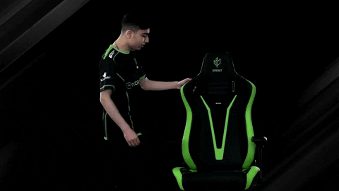 Chair Noblechairs GIF by Sprout